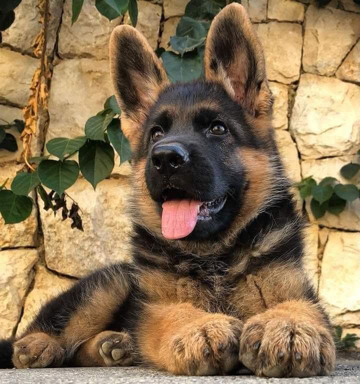 I hope I gate a Wish Today is my Birthday 🎂🎂🎉