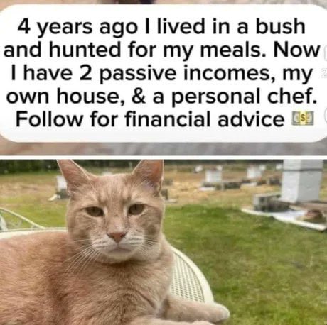 DCFlake (@dc_flake) on Twitter photo 