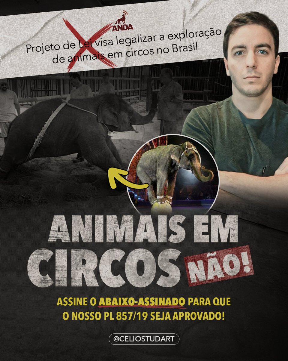 CelioStudart's tweet image. PODEMOS ACABAR DE VEZ COM ISSO!
São anos de luta contra a cru&amp;amp;ld3de nos picadeiros.
Nosso PL 857/2019 proíbe o uso de animais em circos em todo o país, mas precisamos da sua ajuda para impedir esse retrocesso.
Assine o abaixo-assinado pela aprovação do PL
857/2019!