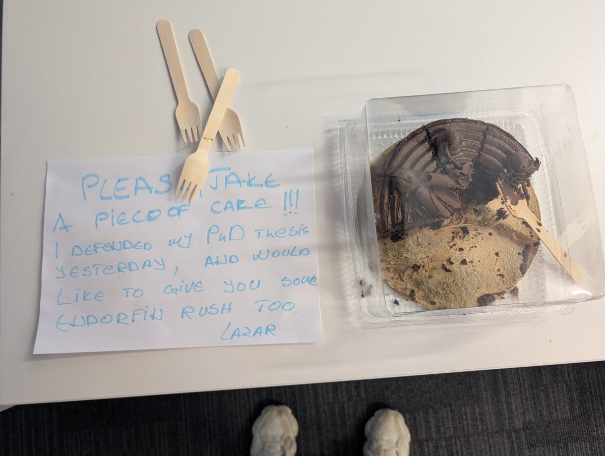 Katriona O'Sullivan tweet media