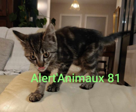 MissingTarn81's tweet photo. 19.02.25 Autre photo et tél : 06 87 65 19 31 https://t.co/8gMMSuZE11