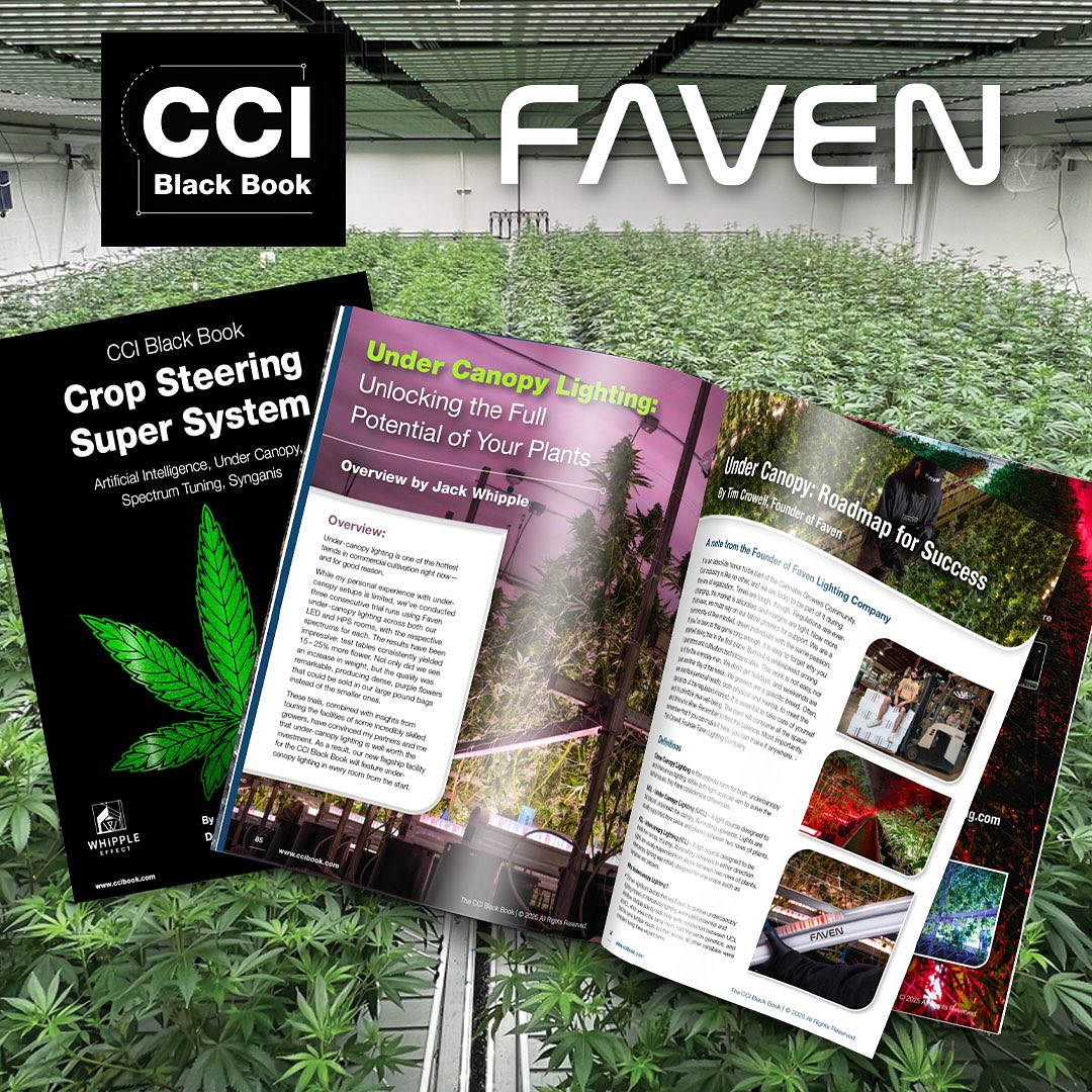 FREE Download‼️ Out now‼️ 

Inside you will find the entire Crop Steering Section 1.1 from the CCI Black Book! 🥳💯

As well as the following brand new content!

The 4 Hottest Trends in Cannabis Cultivation

(Click here for the free download)
ccibook.com/pages/advanced…