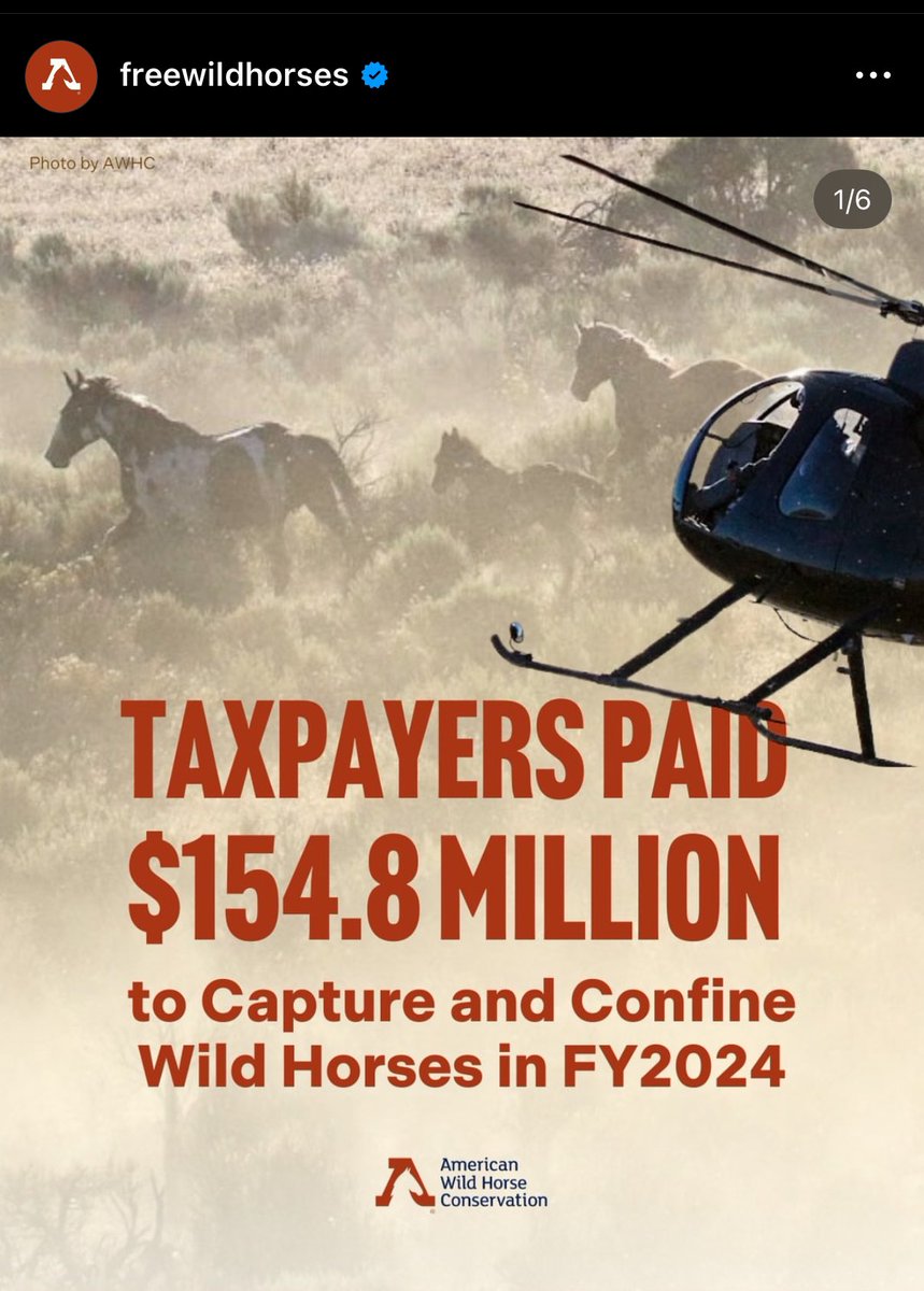 Hey <a href="/elonmusk/">Elon Musk</a> <a href="/DOGE/">Department of Government Efficiency</a> can we get some help here?!!! These horses are suffering and the tax dollars being spent on this are LUDICROUS!  🆘 🆘  There is a better way to manage wild horses!

instagram.com/p/DGRUwd5PqG0/…