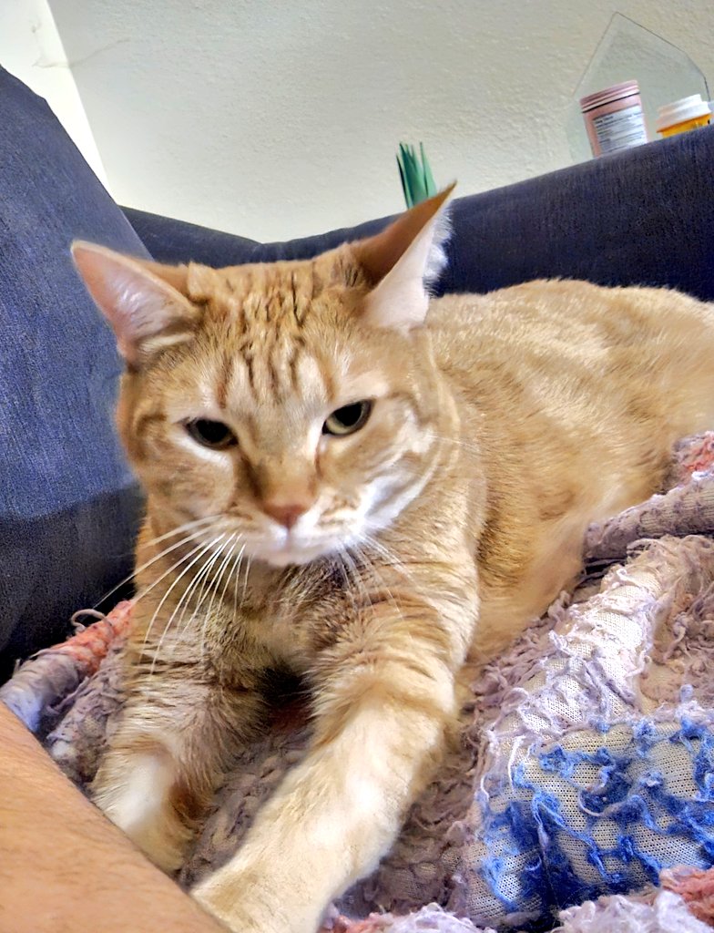 Losing followers 😞 How can this face lose friends?