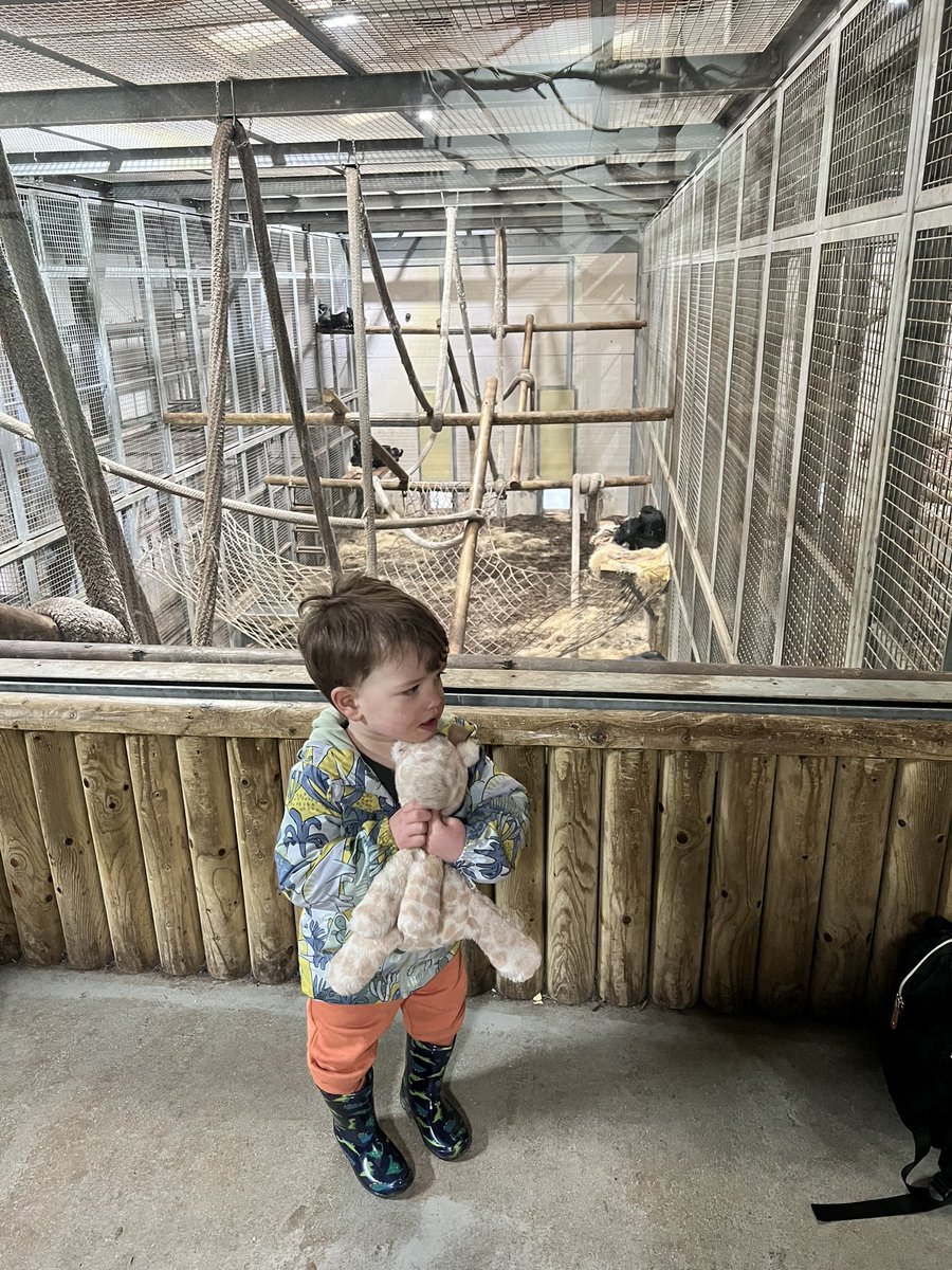 gemmapring97's tweet image. Wondering if anyone at @Gatwick_Airport (north) might have found a giraffe near the security area on or around 16/02/25? I have a very sad little one missing his favourite giraffe toy! Any help would mean the world and I’ve attached a pic of said giraffe!🥰