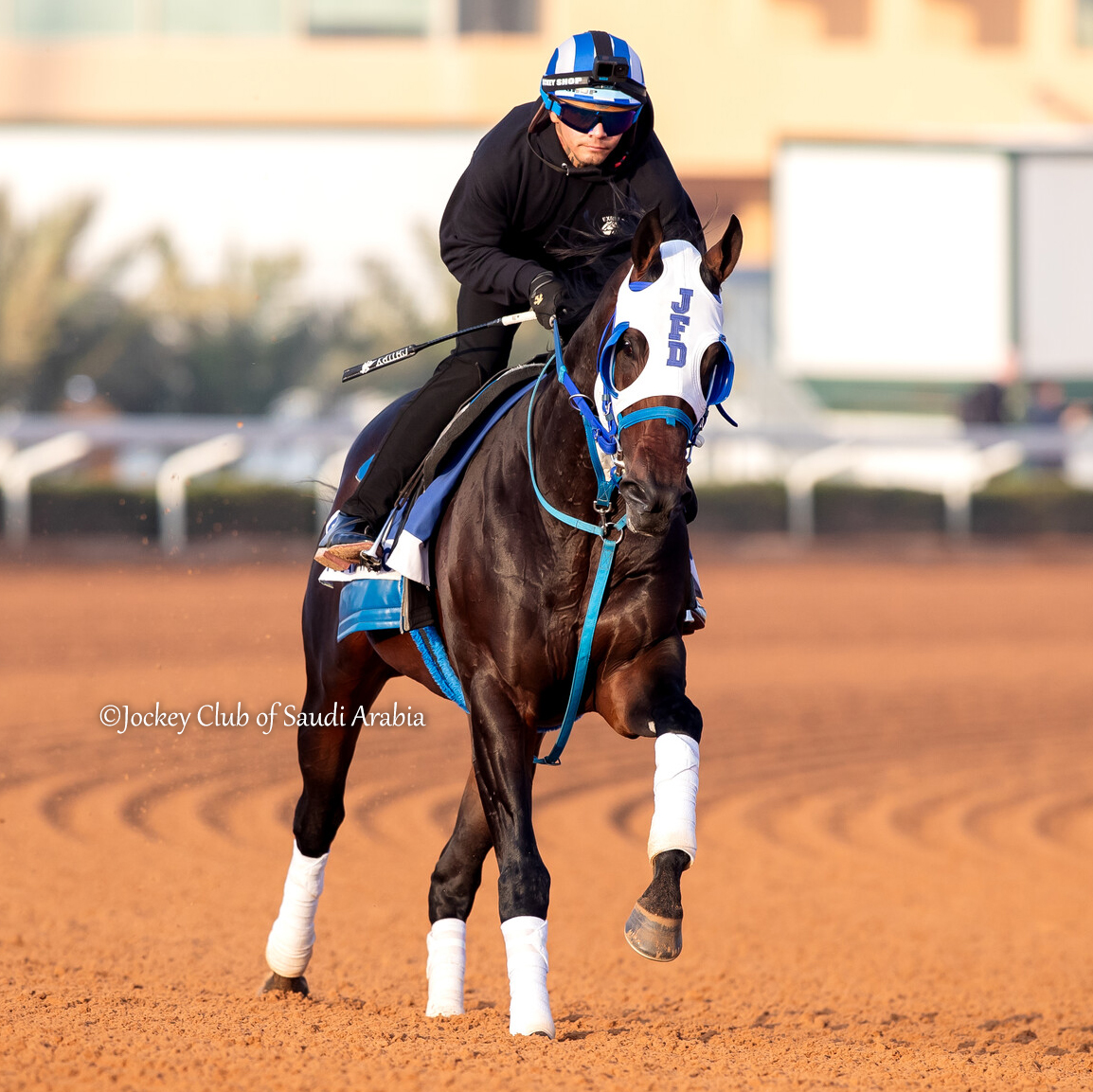 theTDN's tweet photo. Coming off of a win in the Dec. 14 Holiday Cheer Stakes at @TurfwayPark, GI winner Howard Wolowitz (Munnings) heads into Saturday's G2 1351 Turf Sprint on @TheSaudiCup undercard at King Abdulaziz Racecourse.

The 4-year-old colt is trained by @JFDAngelo. https://t.co/71JoLzm7Hz