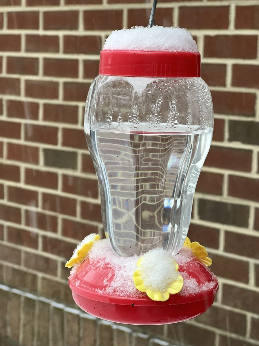 mcassidyBIS's tweet photo. Snow much fun this evening❄️🥶@vbschools @VBbehaviorists #kingston #kingstonvirginiabeach https://t.co/yqJ3kR5AFX