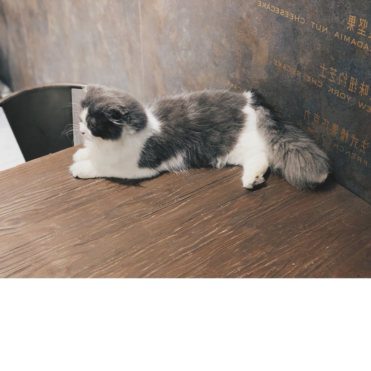 Crystal Chen (@crystal_chen_) on Twitter photo 