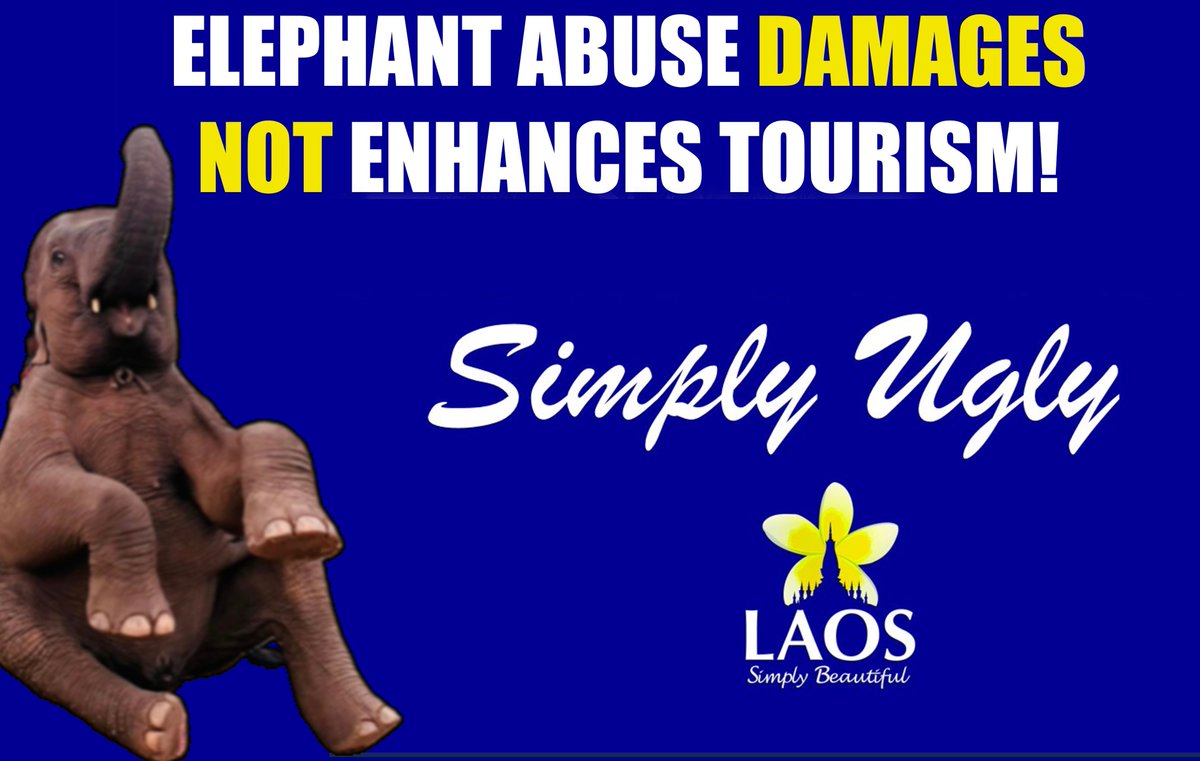 Chris🦣Sand tweet media