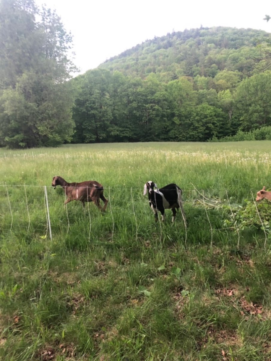 Wisdom all knowing tweet media