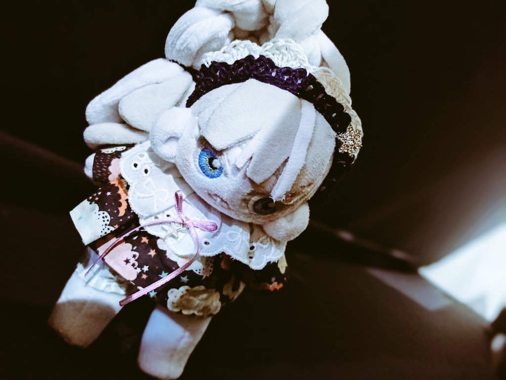 ひらり探偵、お仕事中🕶

#アコークロー堂
#よつほしと糸結び