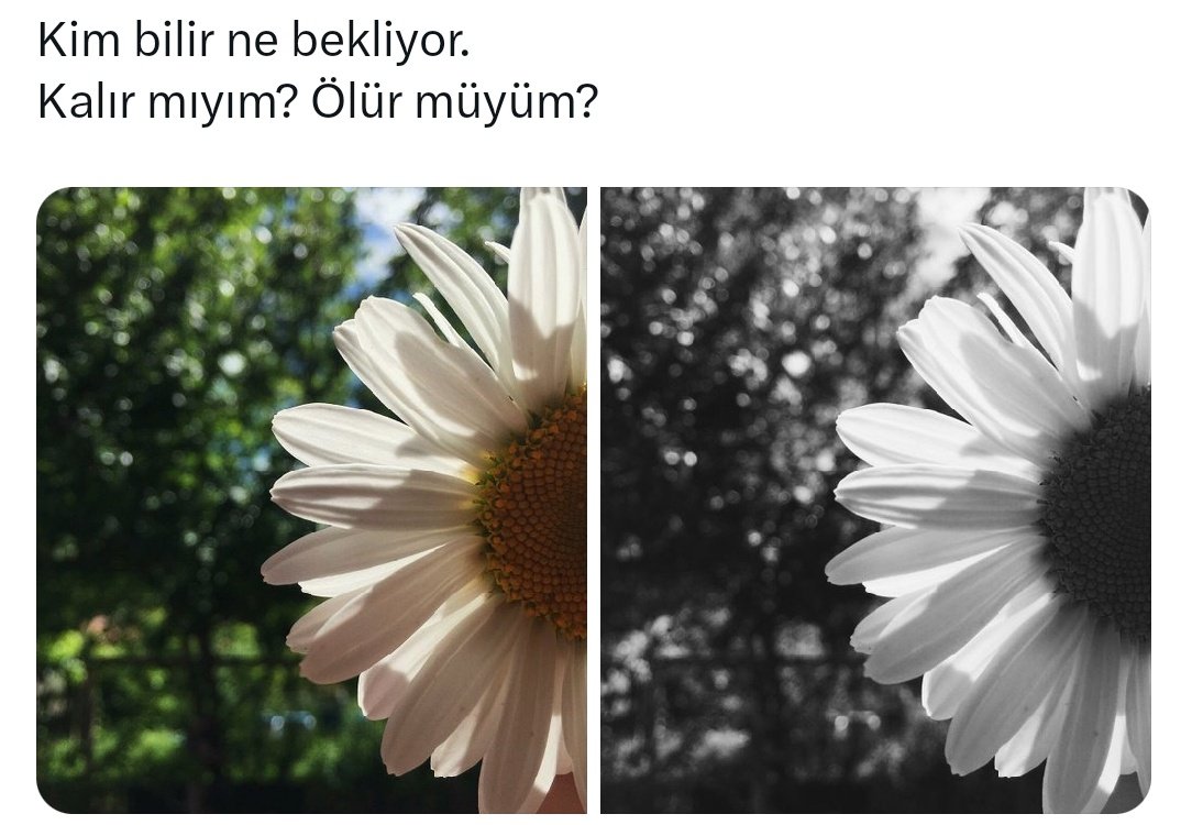 Funda🌸 (@funda_st) on Twitter photo 