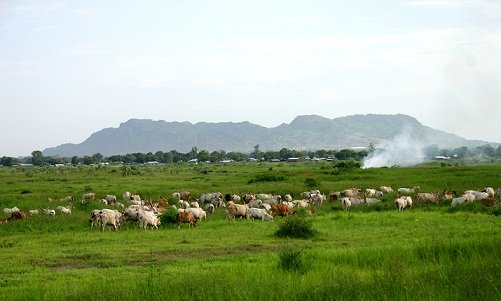 Ibnkhattab97's tweet photo. عبدالرحمن عمسيب كان فاتح اسبيس يروج لمعلومة خاطئة وكاذبة بأن إقليم دارفور فقير، بلا ذهب ولا زراعة،وأنه مجرد صحراء 🏜️
��هذه فرصة للحديث عن الحقيقة: إقليم دارفور واحد من أغنى الأقاليم في السودان بثرواته الطبيعية والزراعية والمعدنية والمائية.
الحقائق بالأرقام والتفاصيل في هذا الثريد https://t.co/oTzz64VI5P
