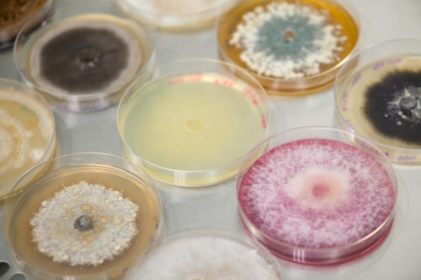 Jord BioScience announced the closing of its Series B round. This funding round will accelerate Jord BioScience's development and commercialization of innovative microbial technologies to deliver next-generation crop inputs: shorturl.at/60b9I