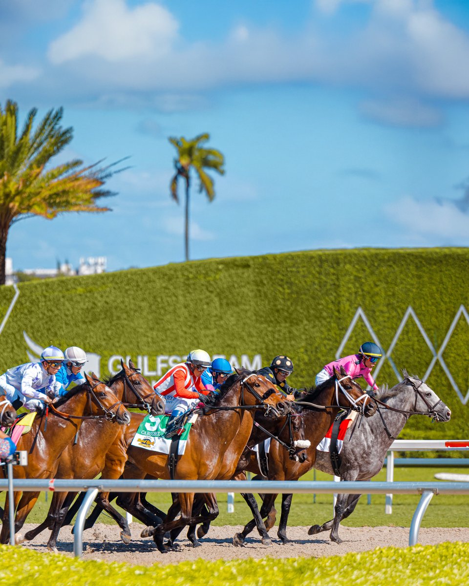 Pegasus World Cup (@pegasusworldcup) on Twitter photo Legends only. #PegasusWorldCup Legends only. #PegasusWorldCup