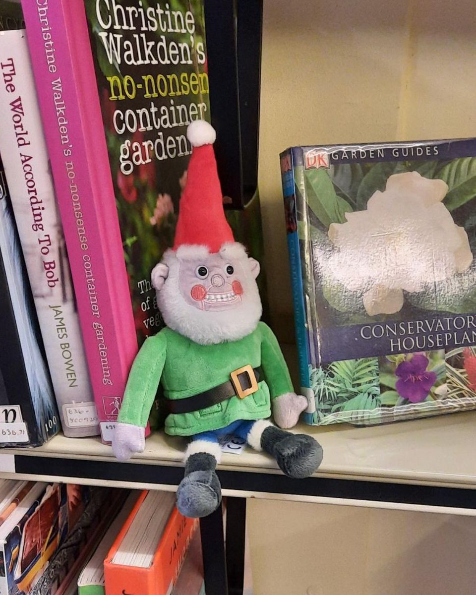 GromitUnleashed's tweet photo. Was it your New Year's resolution to read more? Don’t worry, ol’ #Norbot’s got you covered! 😏  

This smart gnome has been using his nifty #library card and getting stuck into the gardening section.🪴🌻 

Let’s hope this gnome on the roam doesn’t rack up a library fine...😉 

Get your very own Norbot here: https://t.co/rhoty01gZj🌻