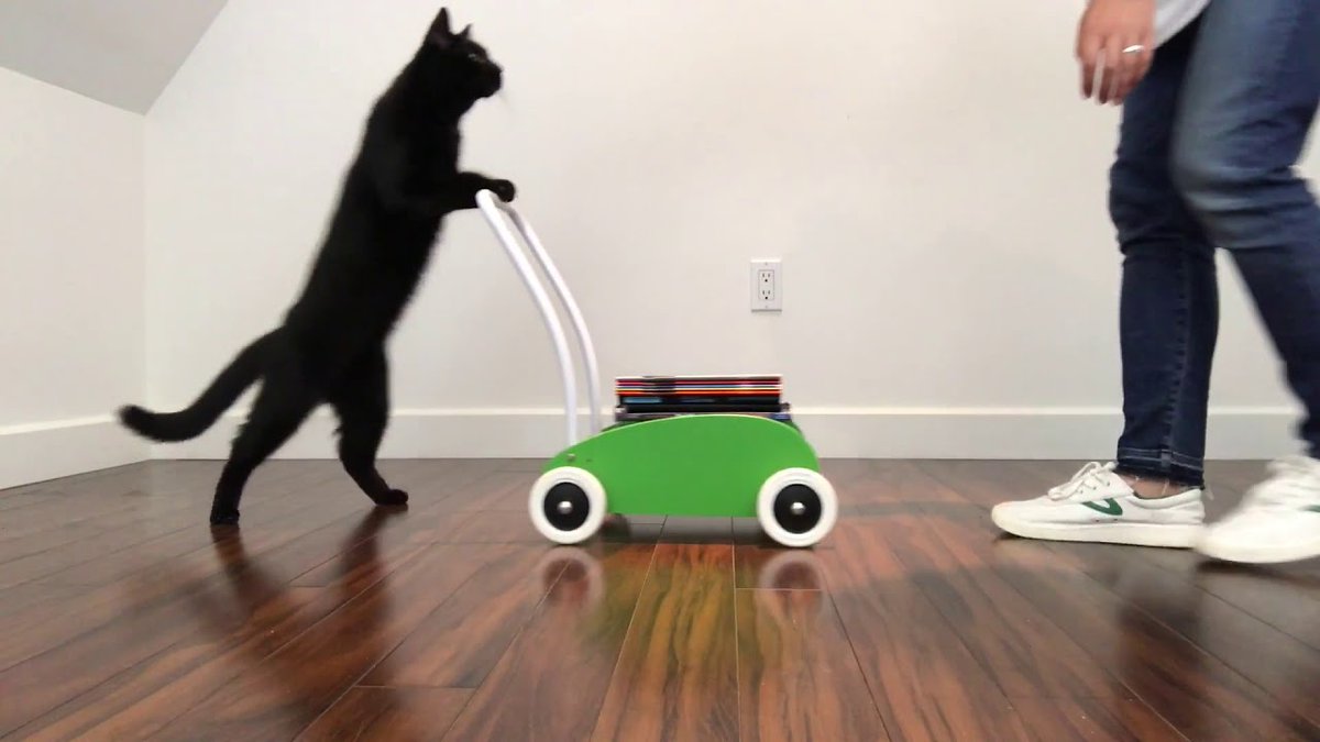 🦴🦴🦴🦴🦴🦴🦴🦴🦴🦴🦴🦴🦴.