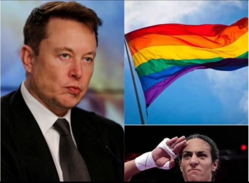 🚨 Elon Musk sugiere que las banderas del orgullo deberían prohibirse en las aulas "para siempre"

¿Estás de acuerdo con Elon Musk?

¿Sí o no?