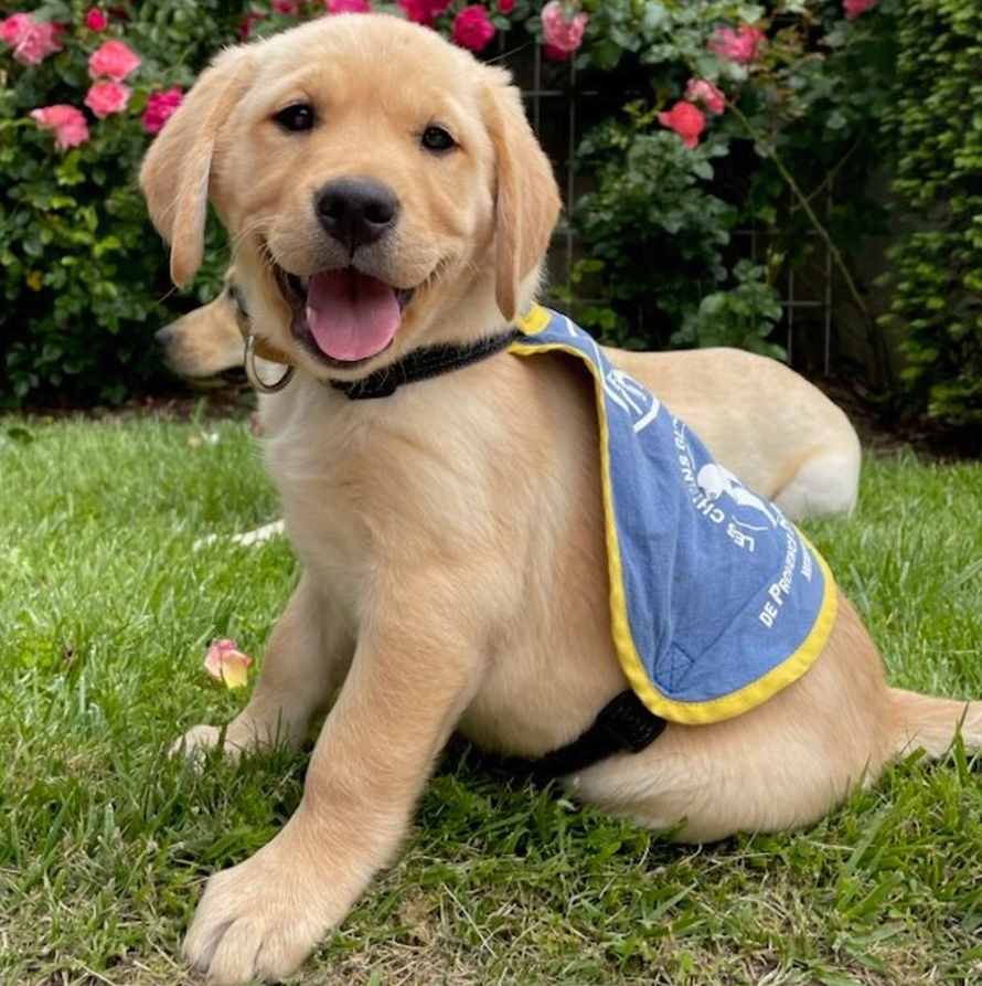 Dealabs's tweet image. 🐀
Un deal gratuit, et en + vous avez l'occasion de faire une bonne action 👇
➡️ dlbs.fr/Santi-A ⬅️