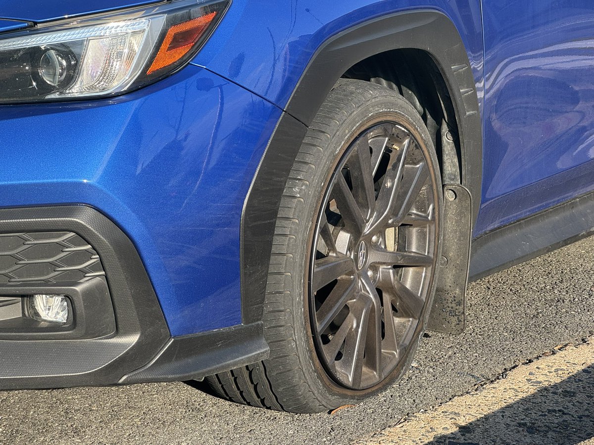 William Byrd tweet media