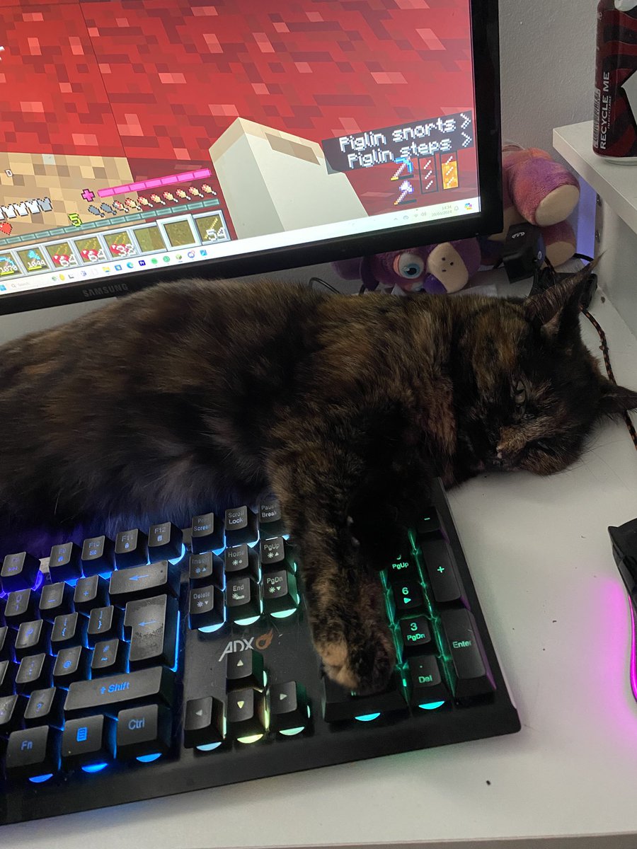 Excuse me mr <a href="/Mojang/">Mojang</a> and mr <a href="/Minecraft/">Minecraft</a> I would really appreciate you adding tortoiseshell cats to the game. I just want to see my baby in there. 

Many thanks,
Me, Avery AwhLimbo