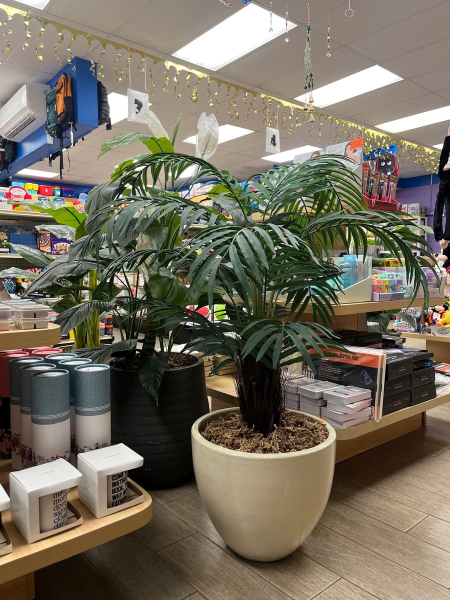 IslandServices_'s tweet photo. Artificial Plants are now available! 😁 https://t.co/iHceaGP0Dh