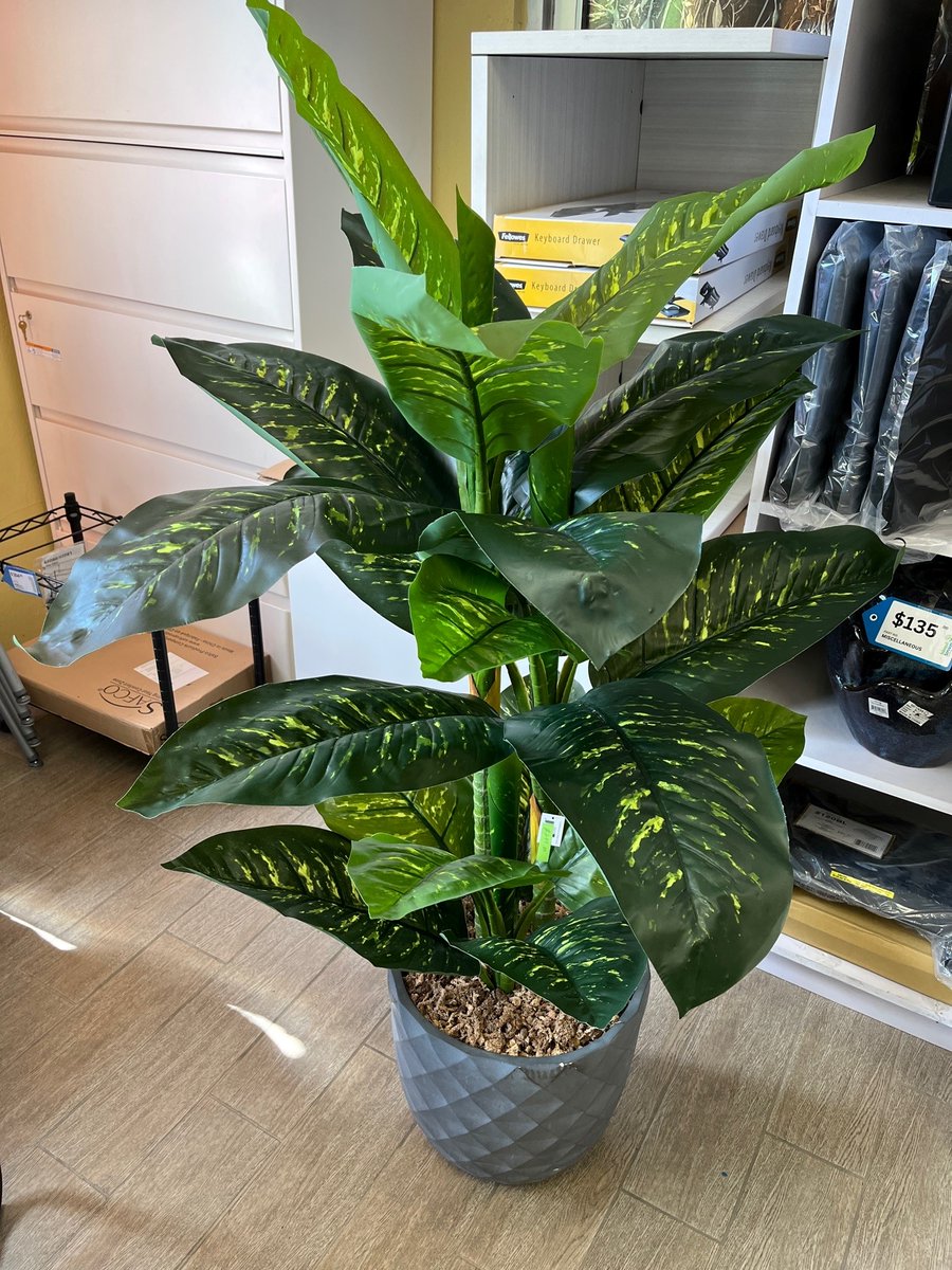 IslandServices_'s tweet photo. Artificial Plants are now available! 😁 https://t.co/iHceaGP0Dh