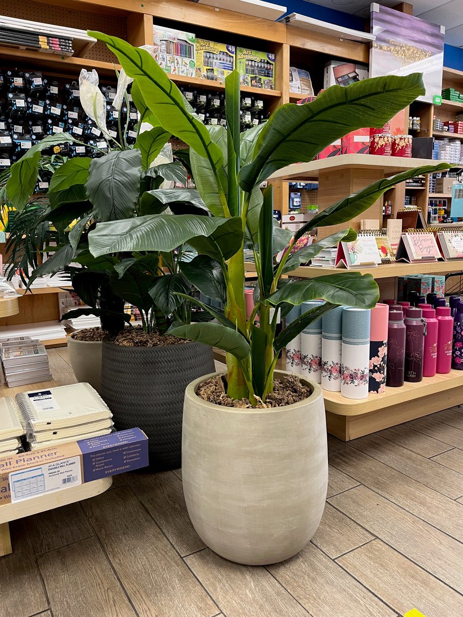 IslandServices_'s tweet photo. Artificial Plants are now available! 😁 https://t.co/iHceaGP0Dh