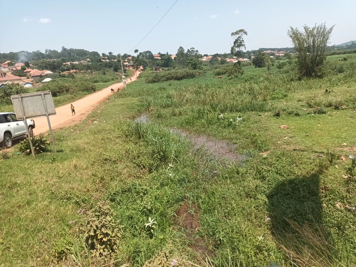 I am grateful to the <a href="/min_waterUg/">MINISTRY OF WATER AND ENVIRONMENT 🇺🇬</a> and <a href="/GggiUganda/">GGGI Uganda</a> for the ongoing feasibility study to elevate Nakayiba wetland into an ECO - PARK. Together with other stakeholders, Our City Council will ensure  sustainable land use and protection from encroachment.