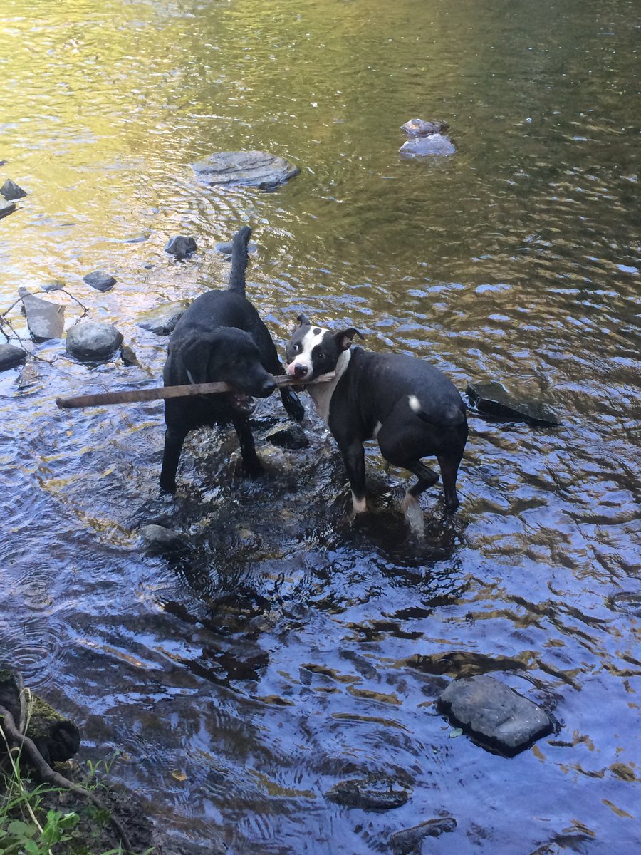 smoked herself to mars tweet media