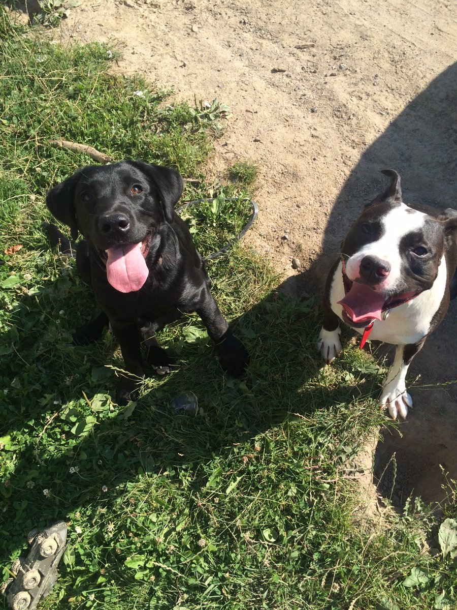 smoked herself to mars tweet media