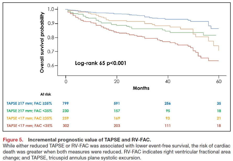 Which is the best metric to assess #RightVentricle systolic function? 🔍

✅In our latest #EchoFirst study, TAPSE and RV-FAC showed incremental value and outperformed S' in risk prediction in a large cohort of #HeartFailure patients

🚨 Learn more: ahajournals.org/doi/full/10.11…