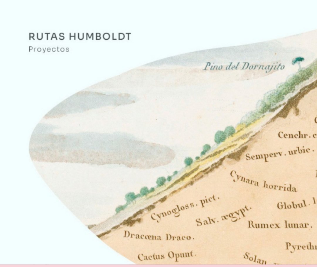 El mundo en La Palma: convivencia y catástrofe.

Un curso de la Cátedra Canarias América de <a href="/UNED/">UNED</a> que tiene el objetivo de preparar un laboratorio ciudadano en La Palma.

extension.uned.es/actividad/40089