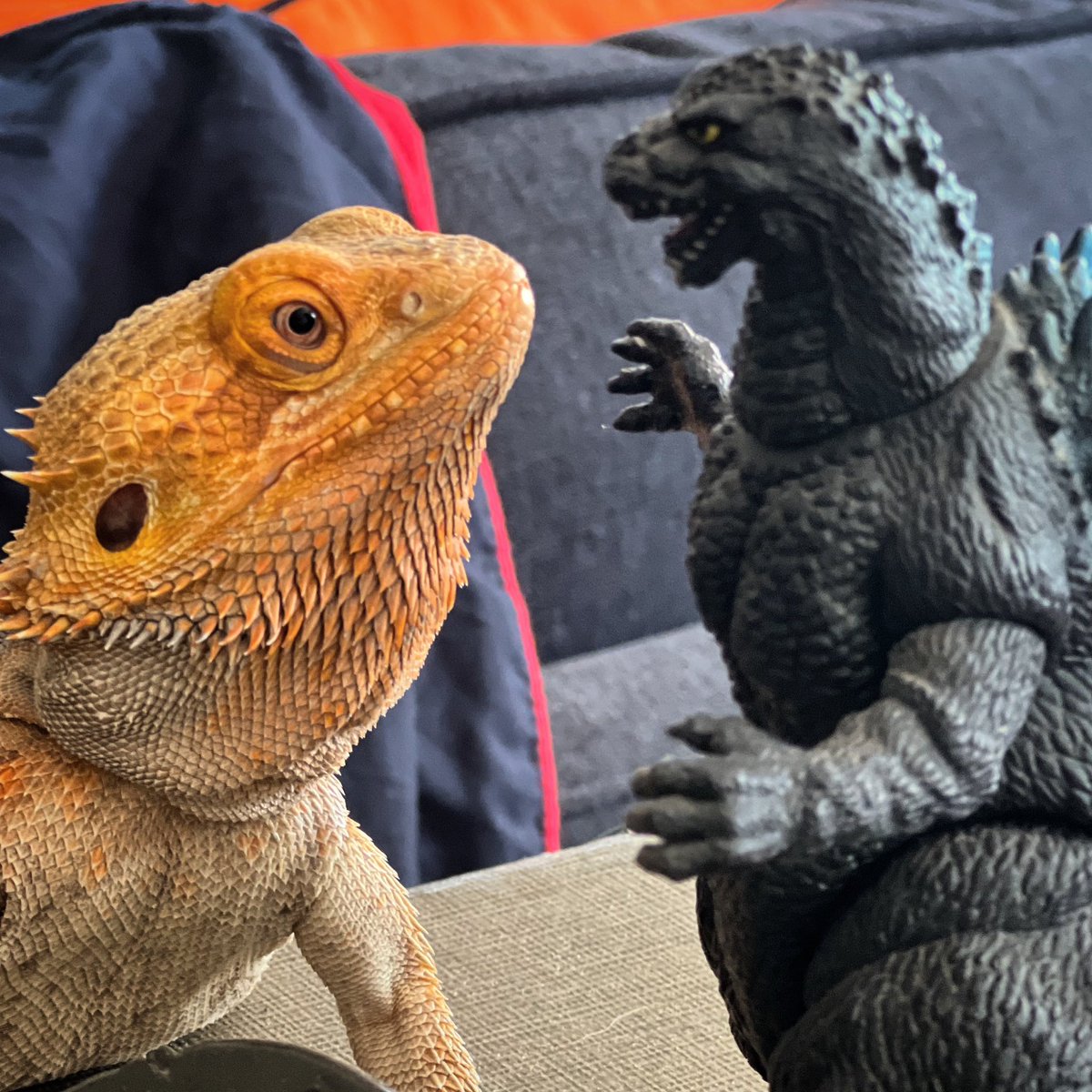 #bestfriends