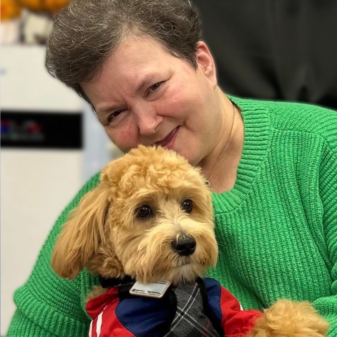 VHCA-VCAL tweet media