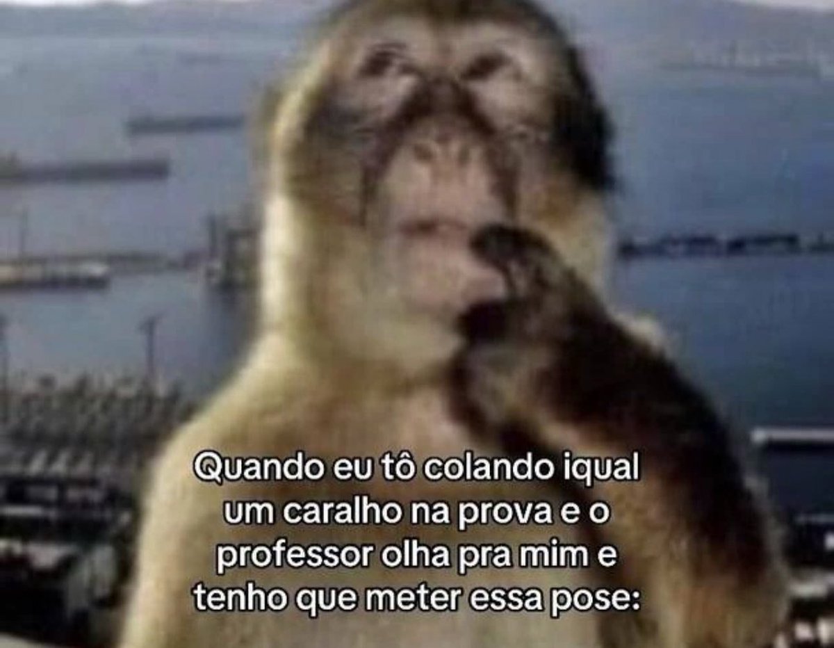 Shitpost só que de verdade (@shitpostverdade) on Twitter photo 