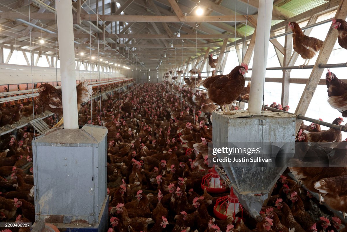 Getty Images News tweet media