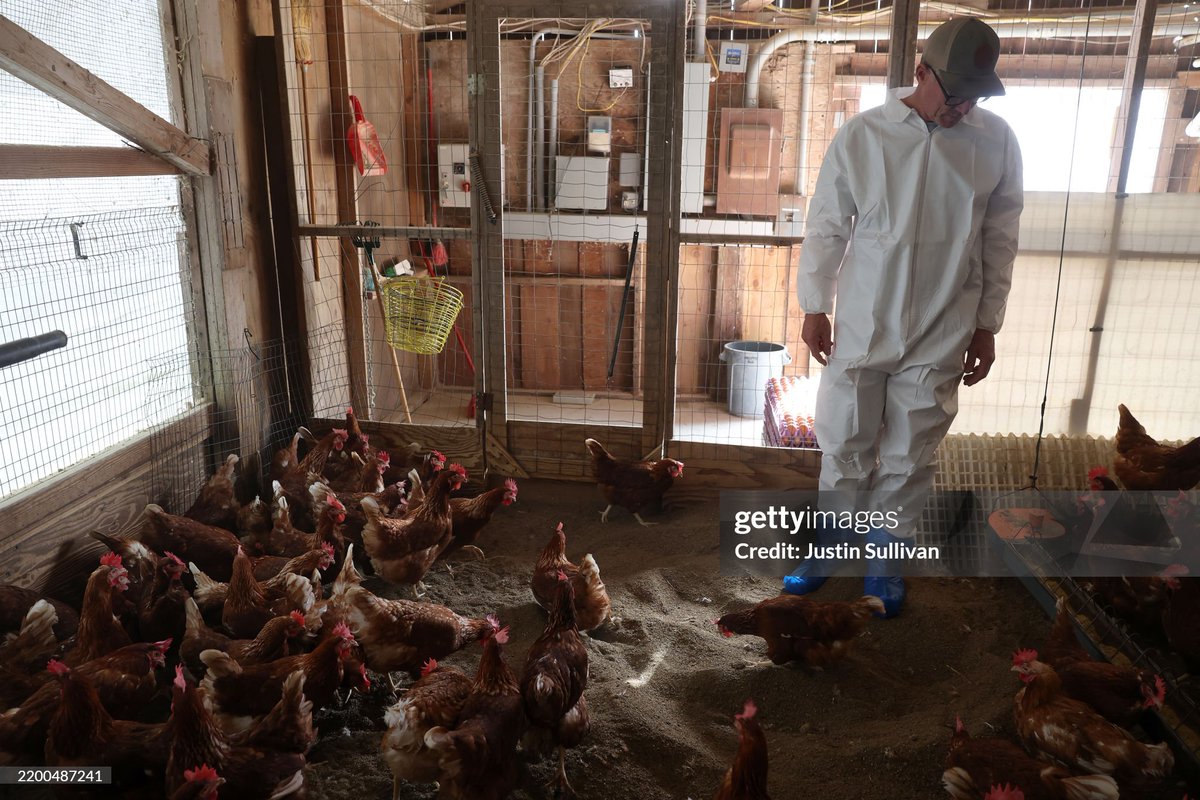 Getty Images News tweet media