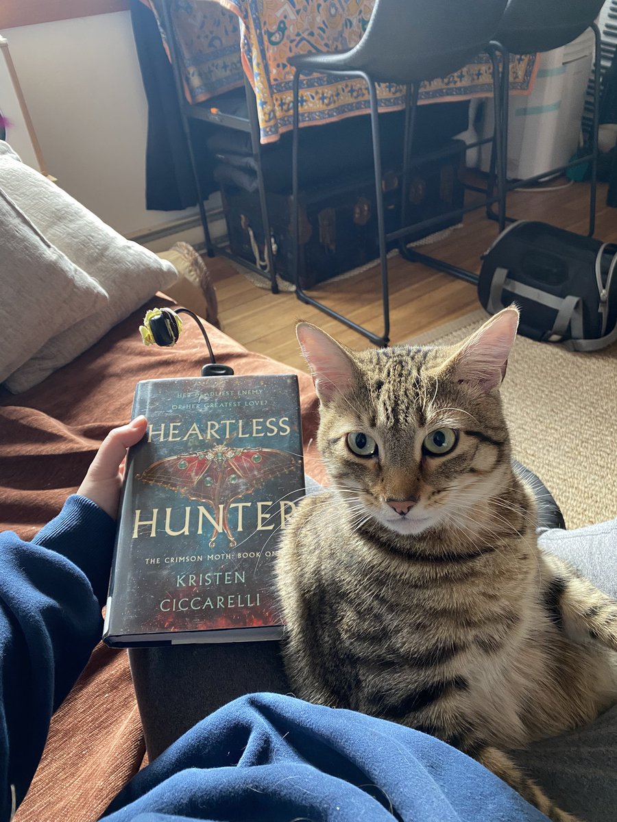 literarylucille's tweet photo. Goood afternoon #writingcommununity
What are you reading?
Here’s mine… https://t.co/5uVXR5Oxki