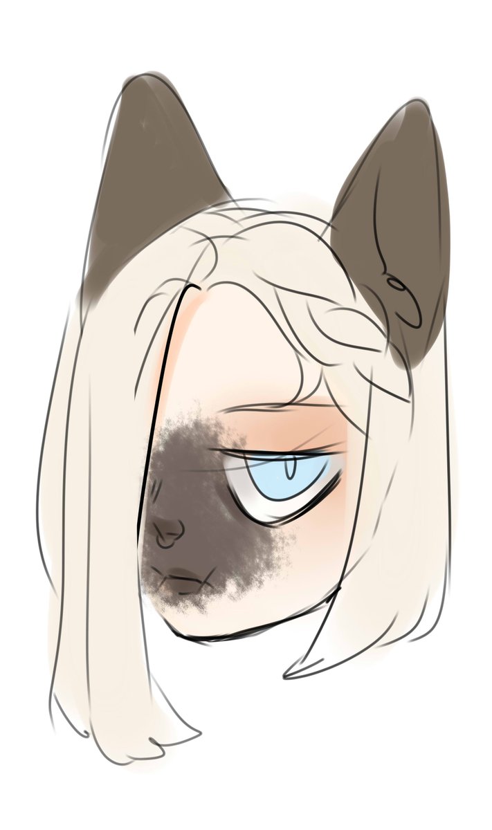 Morisato tweet media