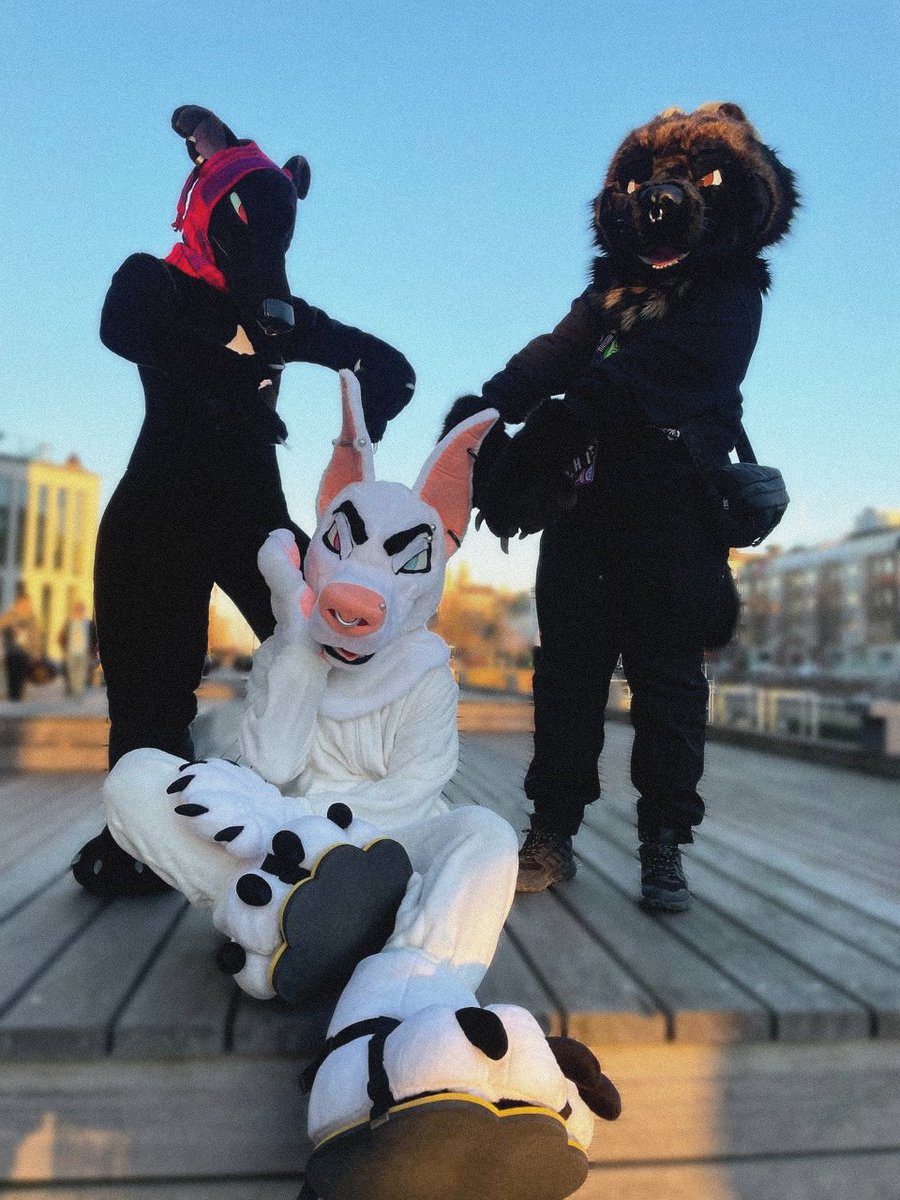 The coolest dogs (and 1 wolv) in Malmö
#NFC2025

All suits🪡@LomonosovFur