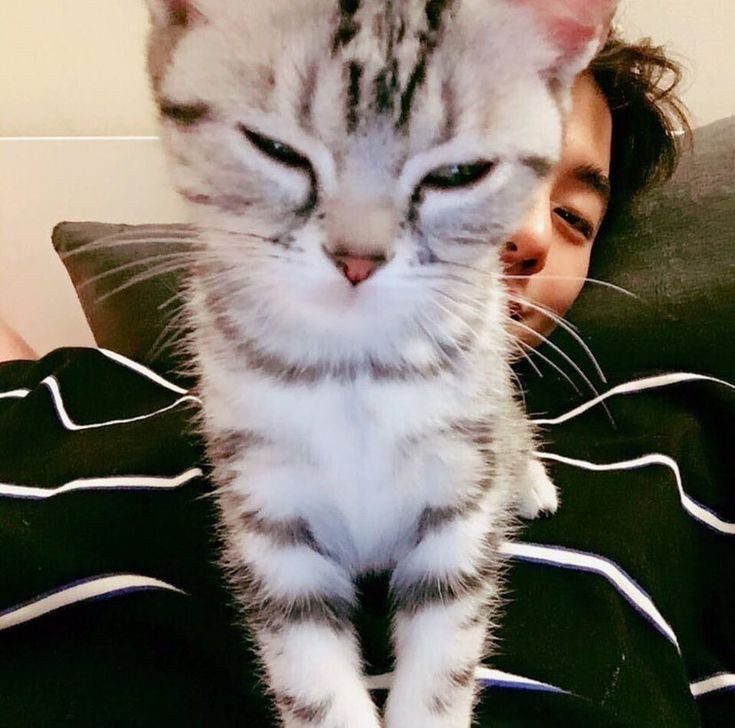 Rogério Cláudio está tranquilo hoje