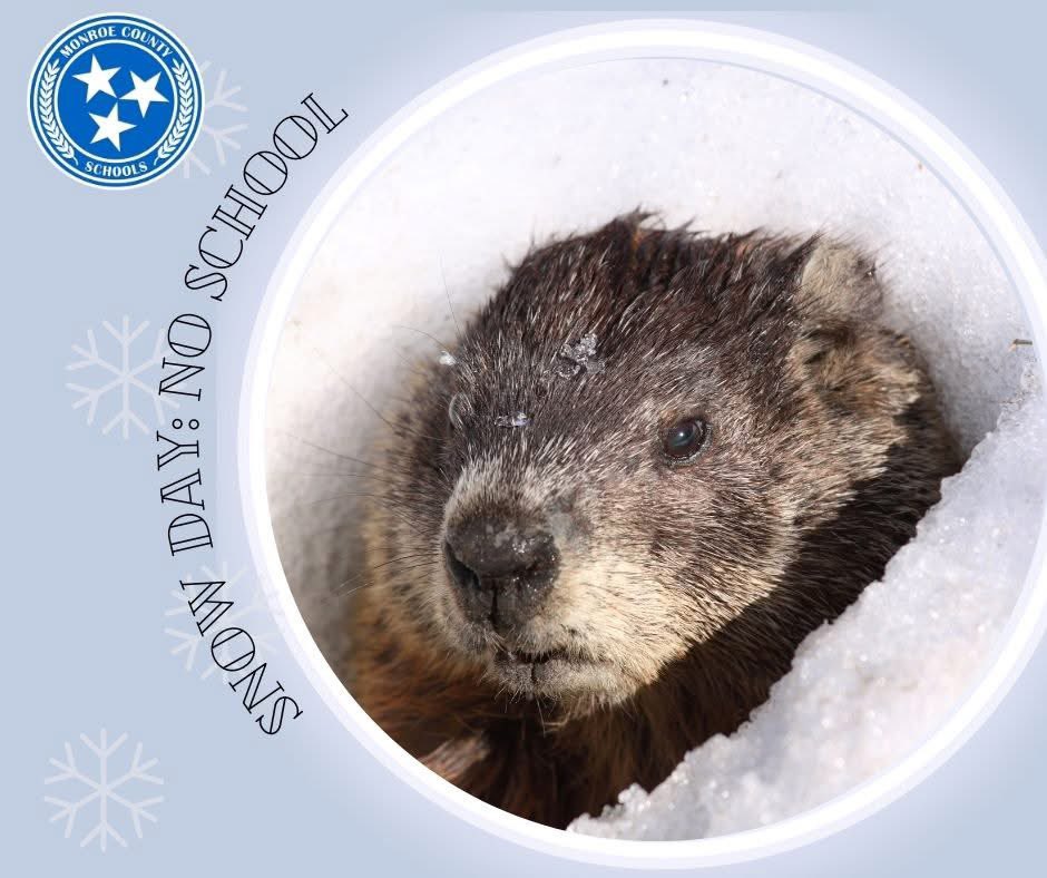 @MonroeCountySchoolsTN tweet media