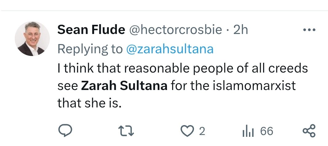 BernadetteB1961's tweet image. As if to prove Zarah Sultana&apos;s point, that reform is like BNP, most of the comments about her, in support of Farage/Reform, are either blatant racism, or have racist undertones. 1/2