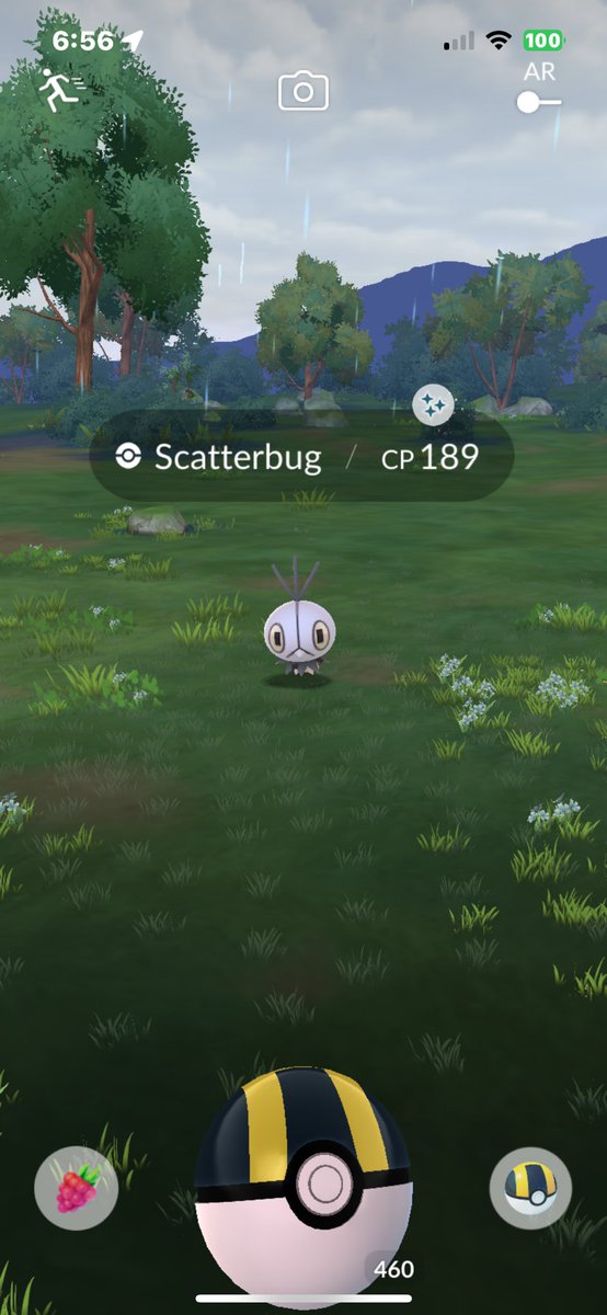Shiny Scatterbug!! 🙂 #PokémonGO