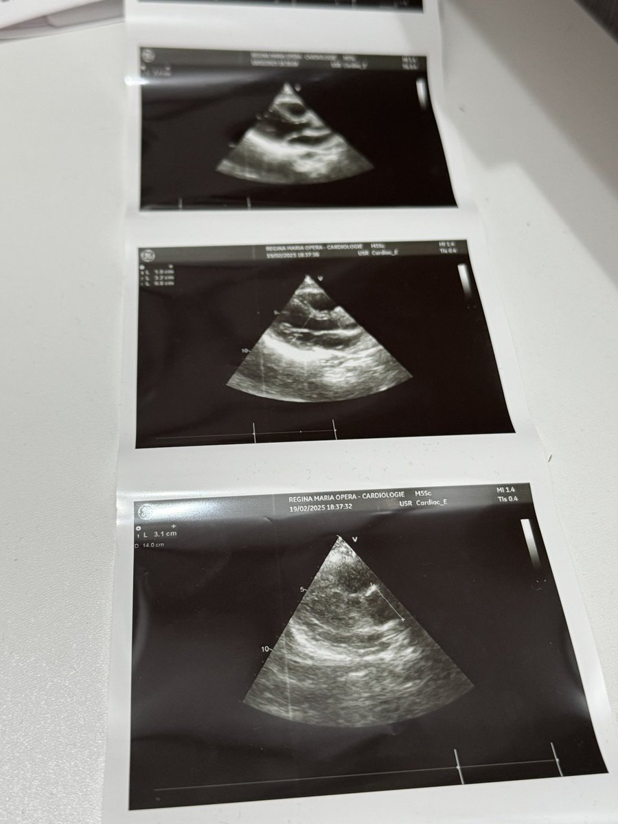 Xenia Melissa tweet media