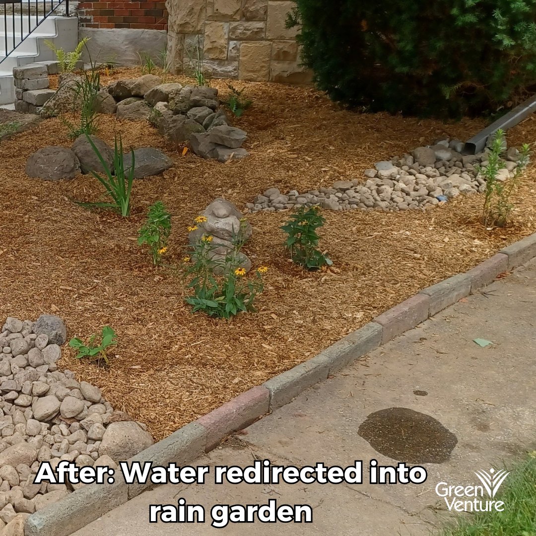 Take a look at this before and after photo, where a rain garden can help redirect water that might otherwise pool in areas. 

#RainGardens #Flooding #GreenInfrastructure #HamOnt