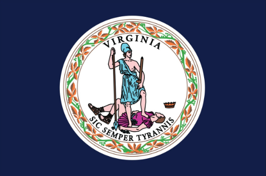 Virginia state flag goes hard