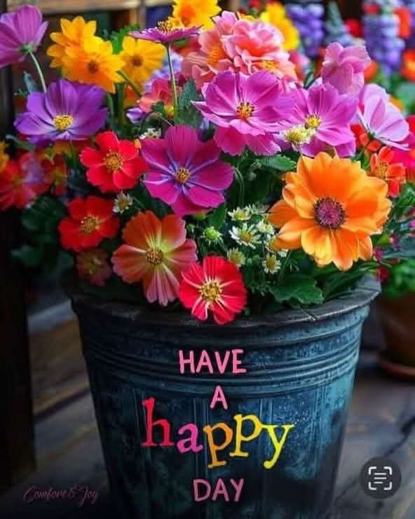 vgklady's tweet photo. My wish for everyone is to find joy in this day... 🧡❤️🩷💛💜🤩❤️😎 https://t.co/Gy14aFobaz