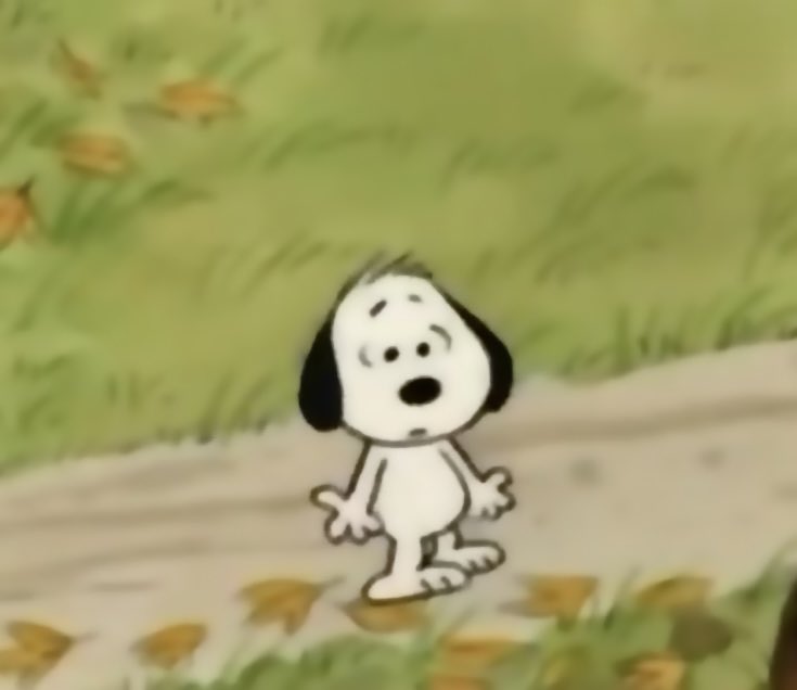 Daily Snoopy (@dailysnoopys) on Twitter photo 